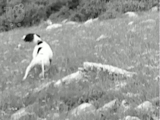 ΔΙΑΤΙΘΕΤΕ ΠΡΟΣ ΠΟΛΙΣΗ